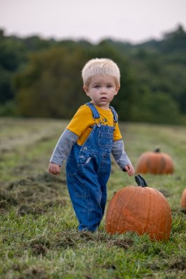 CountryPumpkin2020-197.jpg