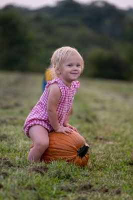 CountryPumpkin2020-210.jpg